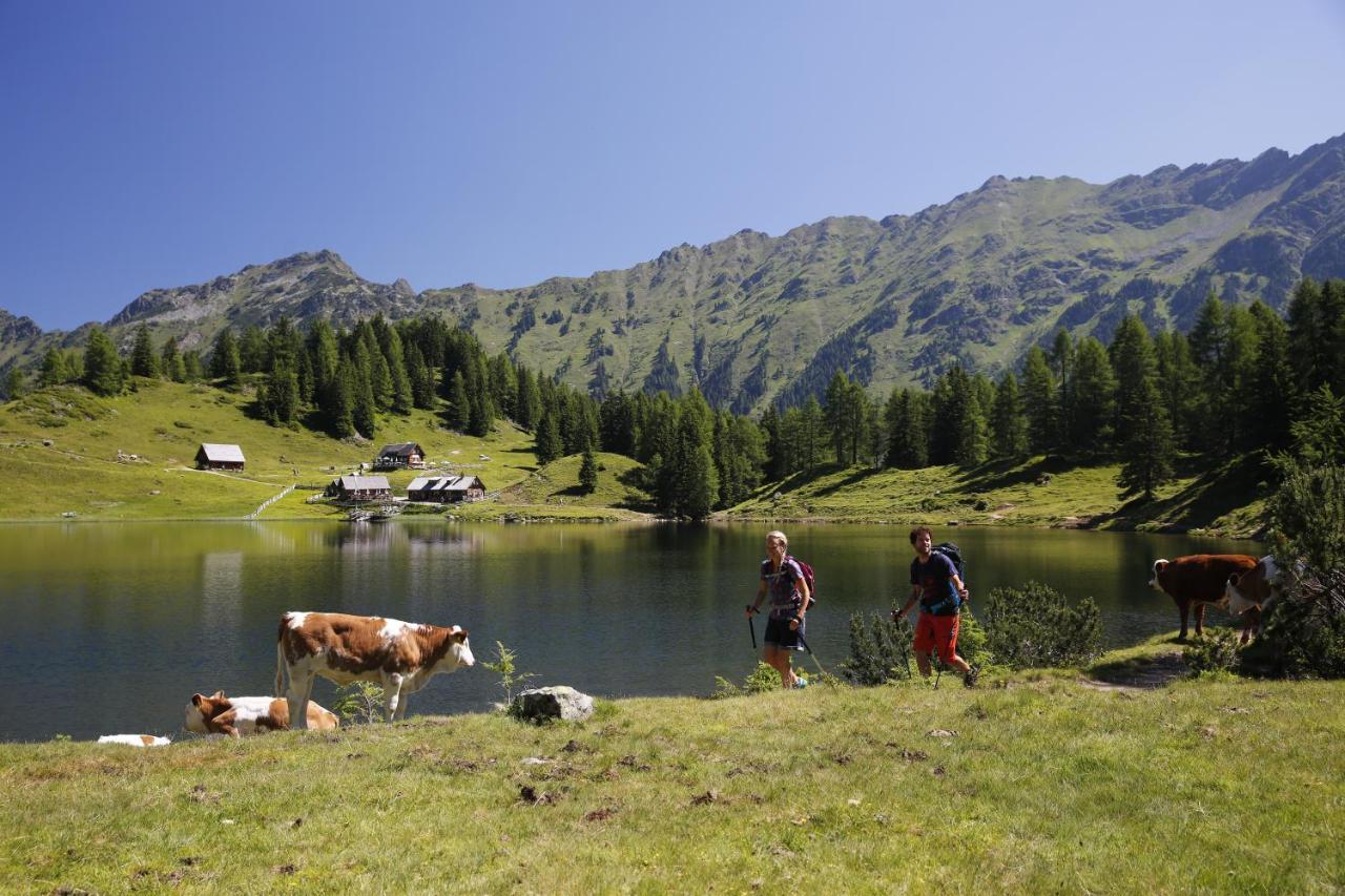 Appartementhaus Finis Ramsau am Dachstein Ngoại thất bức ảnh