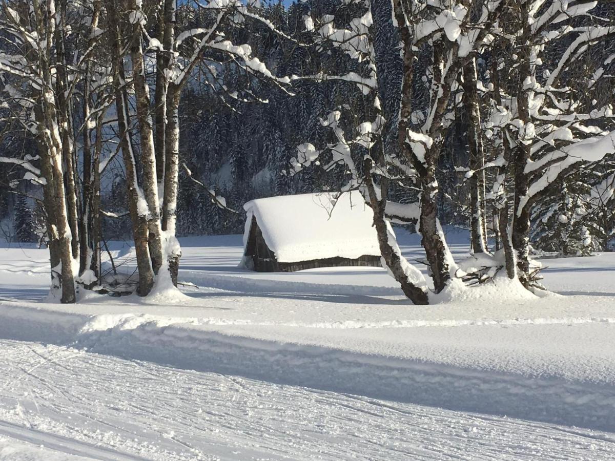 Appartementhaus Finis Ramsau am Dachstein Ngoại thất bức ảnh