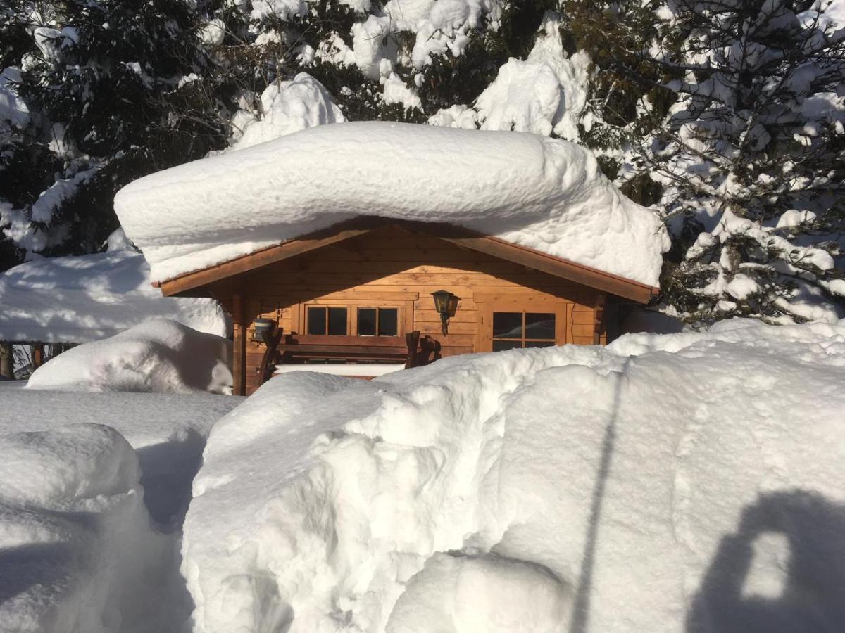 Appartementhaus Finis Ramsau am Dachstein Ngoại thất bức ảnh