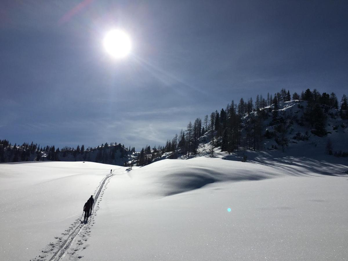 Appartementhaus Finis Ramsau am Dachstein Ngoại thất bức ảnh